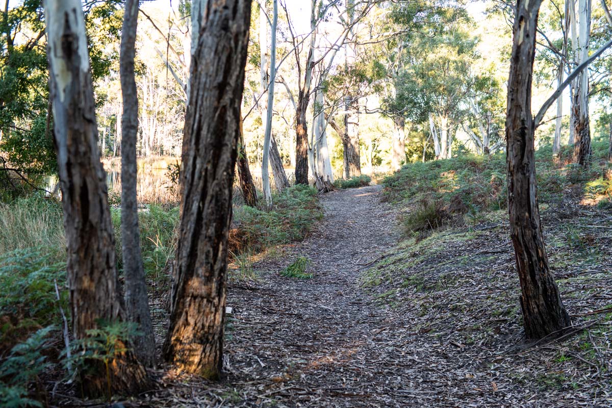 Huntingfield - land for new builds