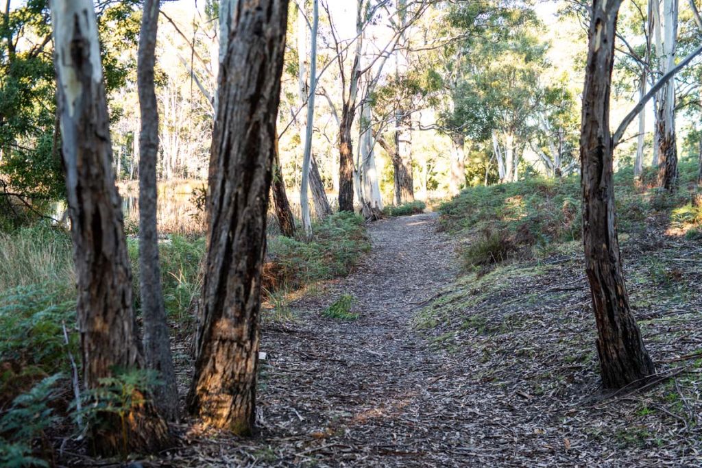 Huntingfield - land for new builds