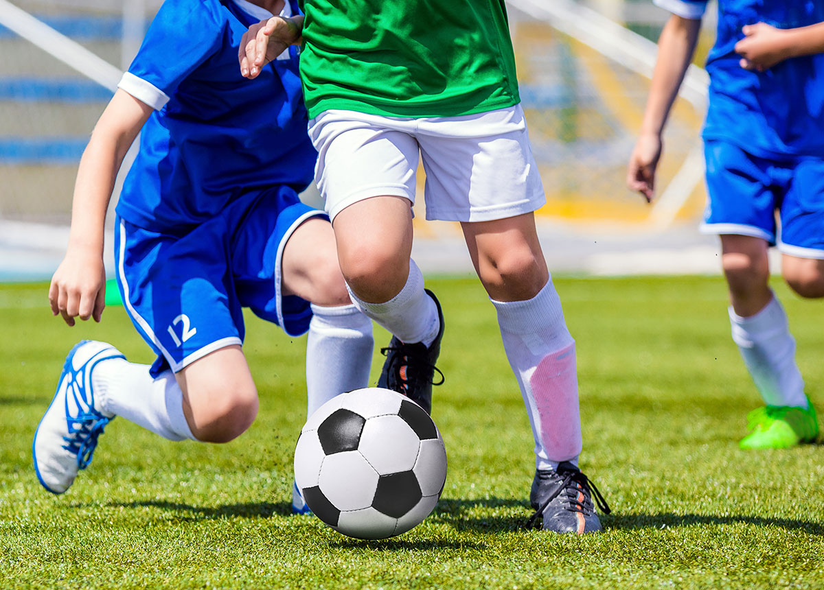 sporting and recreational facilities in Kingborough